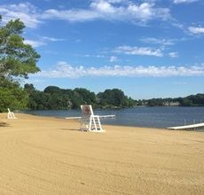 Stevens Pond news flash